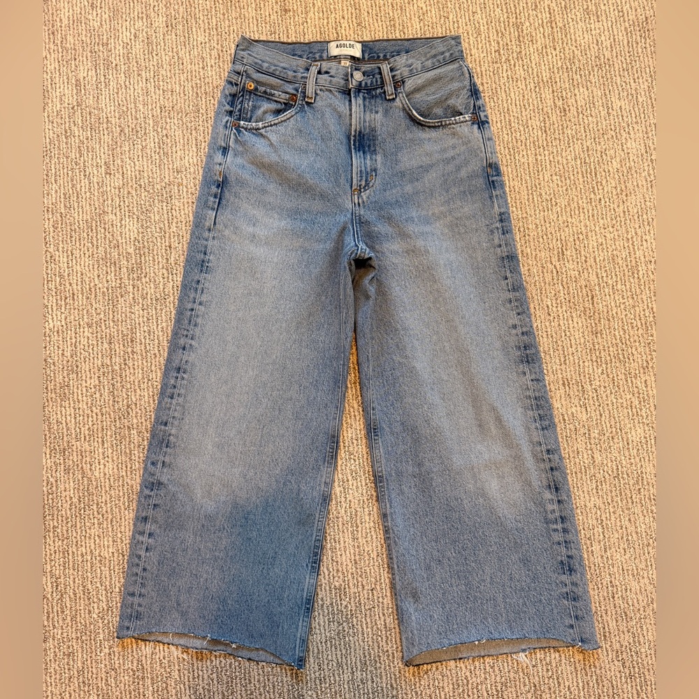 Agolde Low Curve Jean High Rise Wide Leg in Force size 23